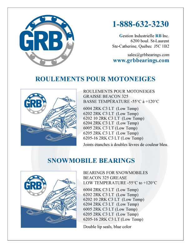 Snowmobile bearings flyer